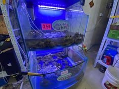 -祥鹤龙虾螃蟹