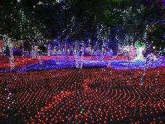 -哈尔滨文化公园