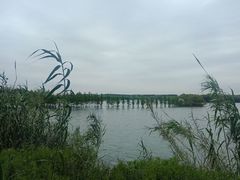 -南湖湿地公园