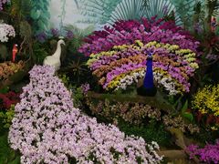 -上海鲜花港