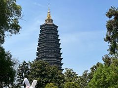 -红梅公园