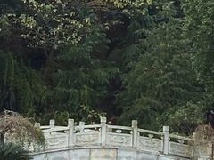 景点-山湖温泉