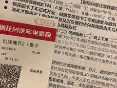 -枫花园汽车电影院(朝阳公园店)