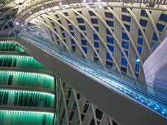 -凤凰中心