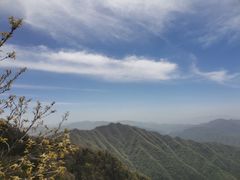 -王顺山国家森林公园