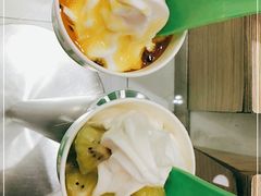 -Salud撒露欧洲冻酸奶(蓝色港湾店)