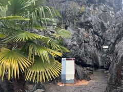 -千岛湖石林