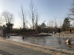 -坝河休闲公园