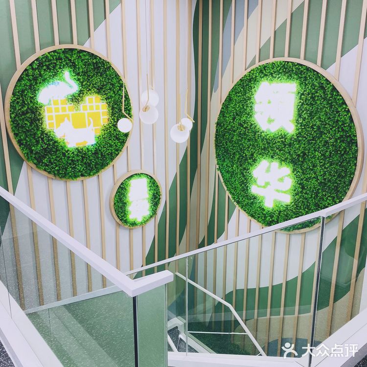 领华宠医·星华宠物医院|医生和环境都非常靠谱的连锁宠物🏥