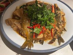 -杨氏青龙虾·羊蝎子(托乐嘉店)