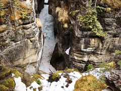 -阿萨巴斯卡瀑布观景点