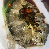 今天的海鲜自由是苏大嘴给的[打卡]