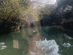 -通安客栈中餐厅·何家小馆