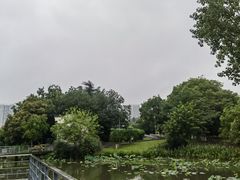 -月湖风景区