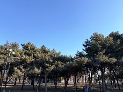 -北陵公园