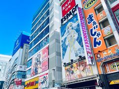 -秋叶原电器街