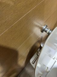 -卡通尼·Safari非洲探索乐园·生日会(金桥国际商业广场店)