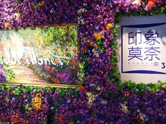 -印象莫奈时光映迹艺术展
