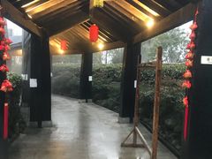 -三江森林温泉度假区