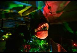 -恐龙探索乐园(磁器口店)