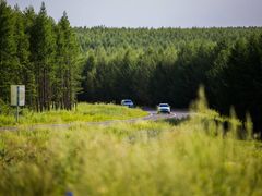 -塞罕坝国家级自然保护区