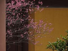 -慧因高丽寺