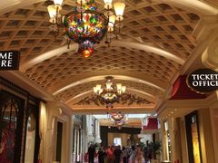 -拉斯维加斯永利酒店