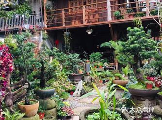 地理位置： 大山村轻轨站附近渝南花鸟市场，面积来讲