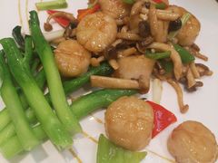 -金蝉食府(维吉奥广场店)