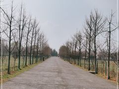 -汉景帝阳陵博物院