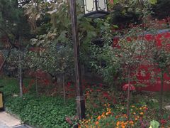 -大连步云山老汤度假山庄