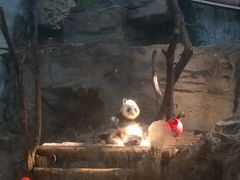 -鄂尔多斯野生动物园