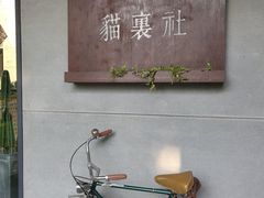 -猫里有甜