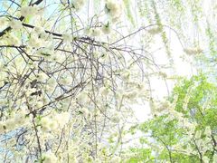 -北京安贞环宇荟