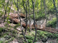 -大岭沟猕猴桃谷风景区