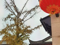 -召稼楼古镇