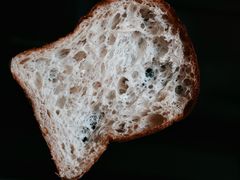 -佐敦面包铺·JORDAN BAKERY