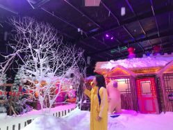 -圣名游乐城冰雪大世界