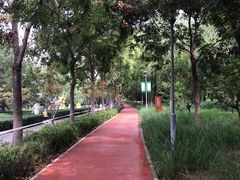 -大兴滨河森林公园