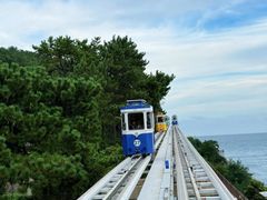 -BHC炸鸡(明洞总店)