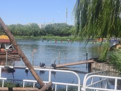 -西海子公园