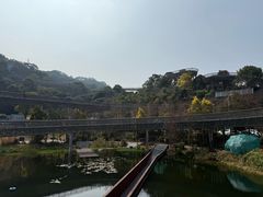 -福道