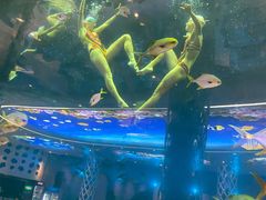 -瑞德姆美人鱼海底演艺主题餐厅(亚龙湾店)