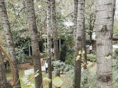 -林间山庄