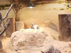 -正佳雨林生态植物园
