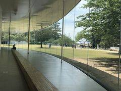 -金泽21世纪美术馆