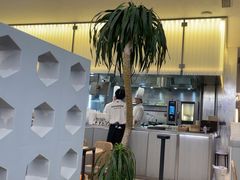 -苏小柳点心·手作小笼包(浦东嘉里城分院)