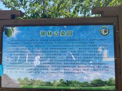 -御林古桑园