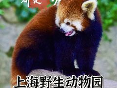 -上海野生动物园