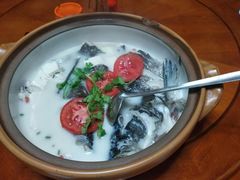 -全乐鱼馆·淳牌有机鱼直营店
